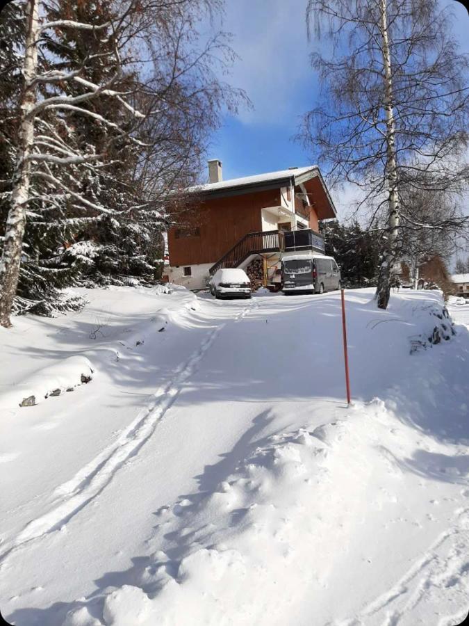 Chalet Spacieux Et Convivial La Toussuire Fontcouverte-la-Toussuire Экстерьер фото
